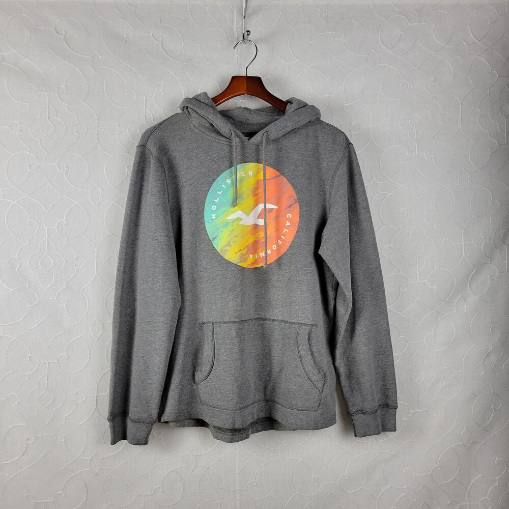 Hollister Unisex Hoodie Size L Gray Seagull Graphic Spell Out Logo Pullover